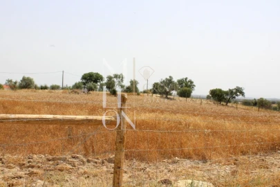 Terreno para Venda em Reguengos de Monsaraz