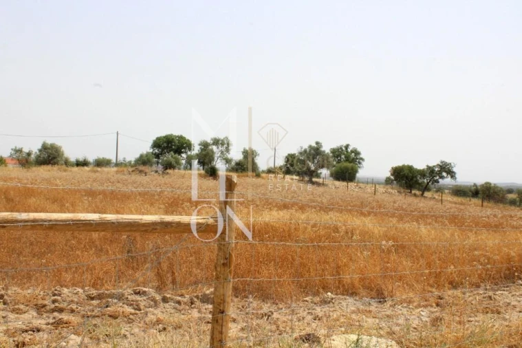 Terreno para Venda em Reguengos de Monsaraz Foto 6