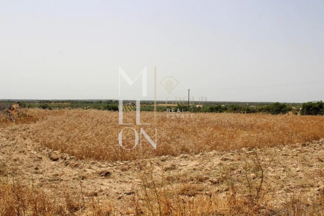 Terreno para Venda em Reguengos de Monsaraz Foto 5