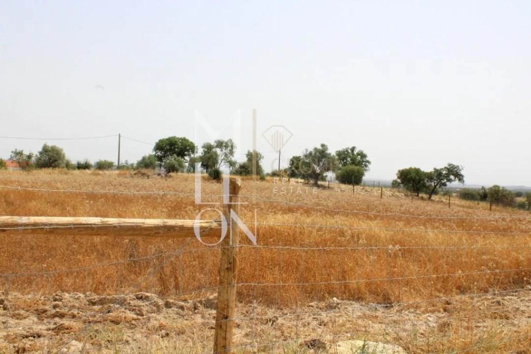 Terreno para Venda em Reguengos de Monsaraz Foto 6