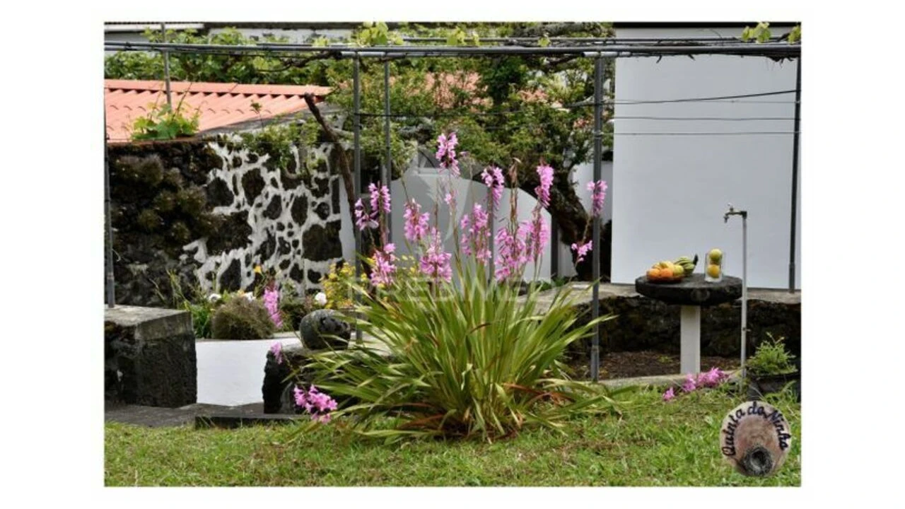 Moradia T3 para Venda em Manadas (Santa Barbara) Foto 4