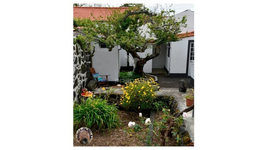 Moradia T3 para Venda em Manadas (Santa Barbara) Foto 3