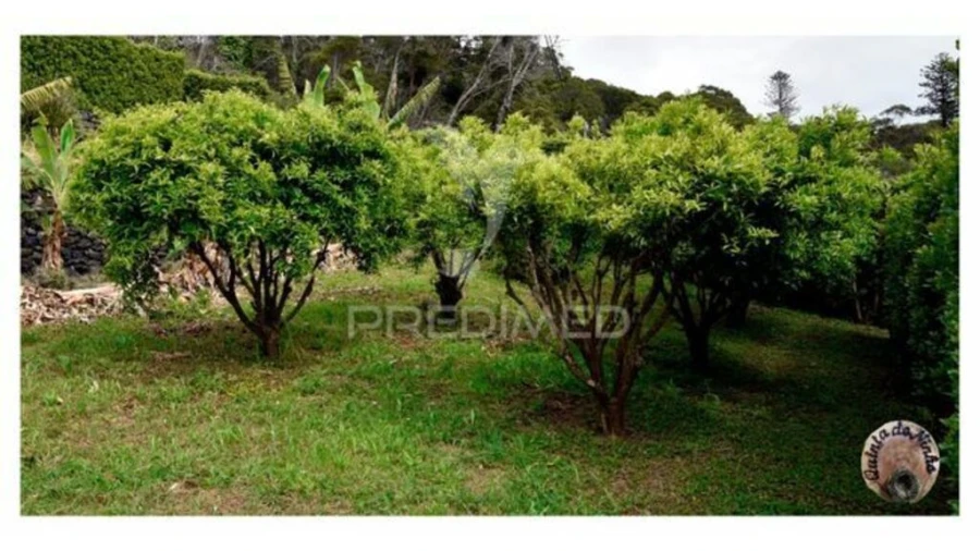 Moradia T3 para Venda em Manadas (Santa Barbara) Foto 6