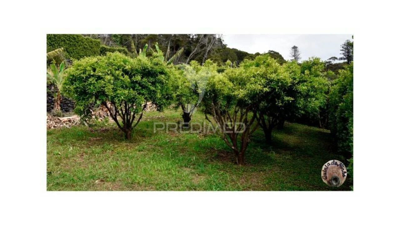 Moradia T3 para Venda em Manadas (Santa Barbara) Foto 6