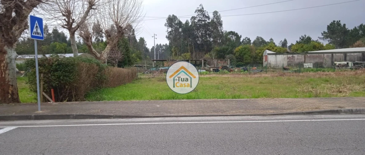 Terreno para Venda em Fonte de Angeão e Covão do Lobo Foto 9