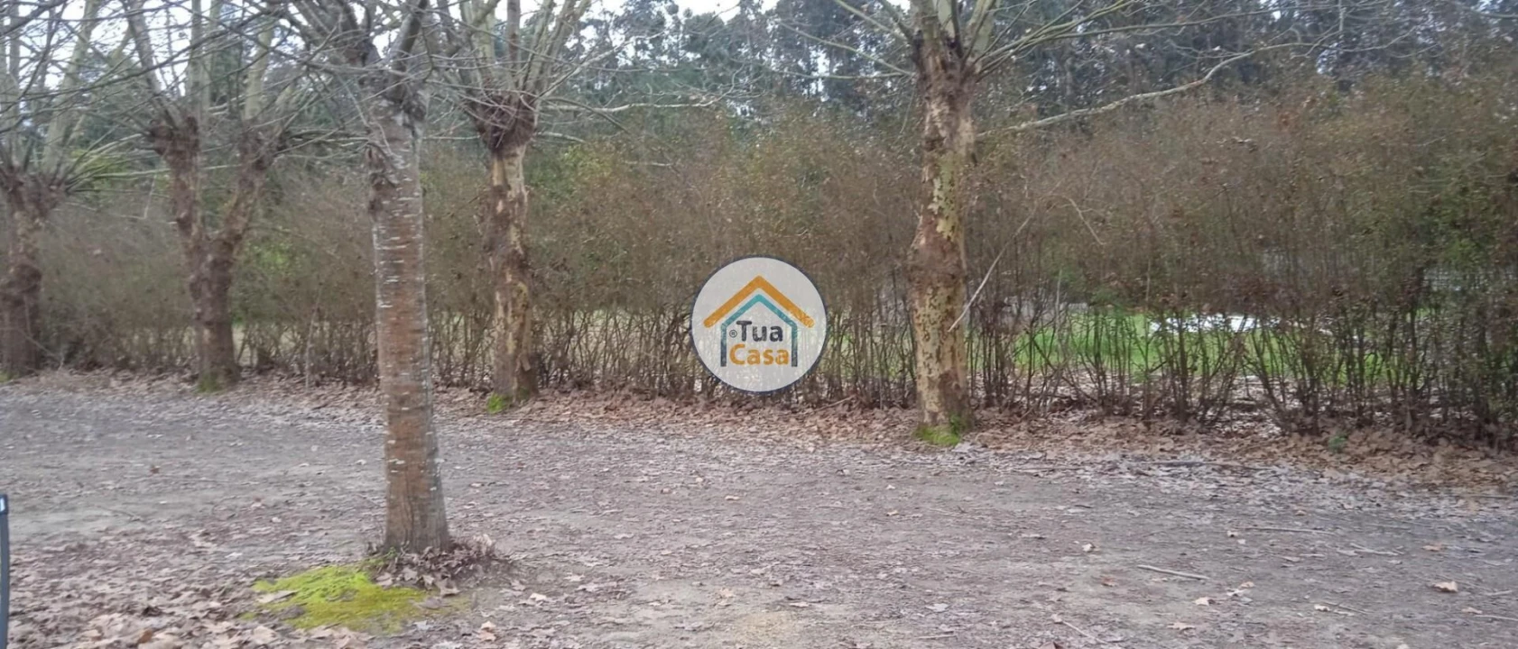 Terreno para Venda em Fonte de Angeão e Covão do Lobo Foto 18