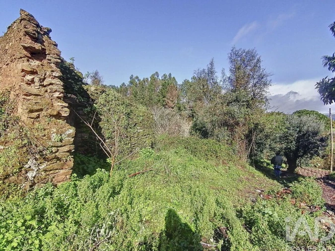 Moradia T2 para Venda em Olalhas Foto 7