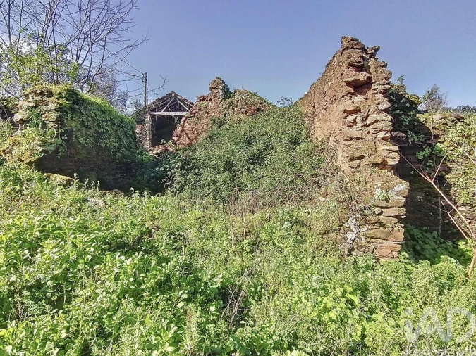 Moradia T2 para Venda em Olalhas Foto 6