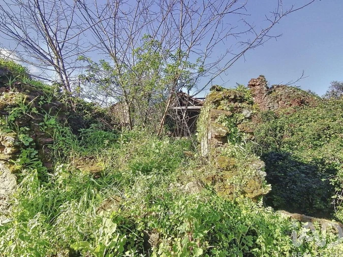 Moradia T2 para Venda em Olalhas Foto 4