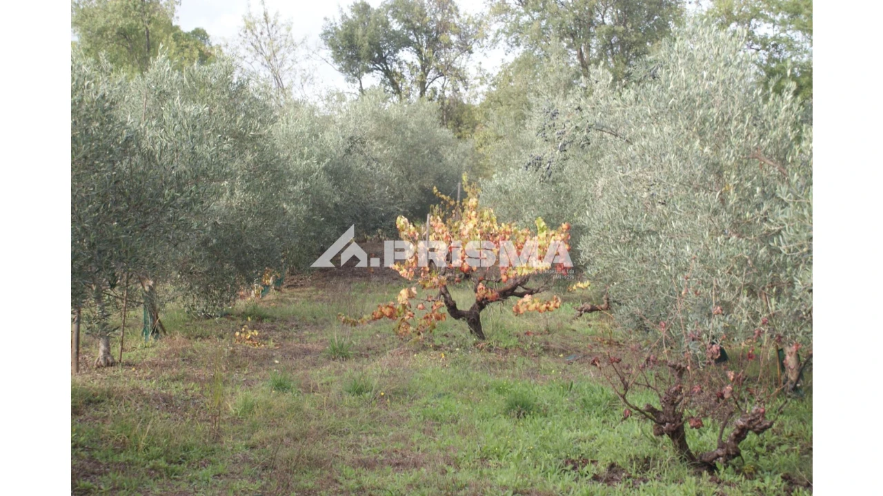 Terreno para Venda em Aranhas Foto 7