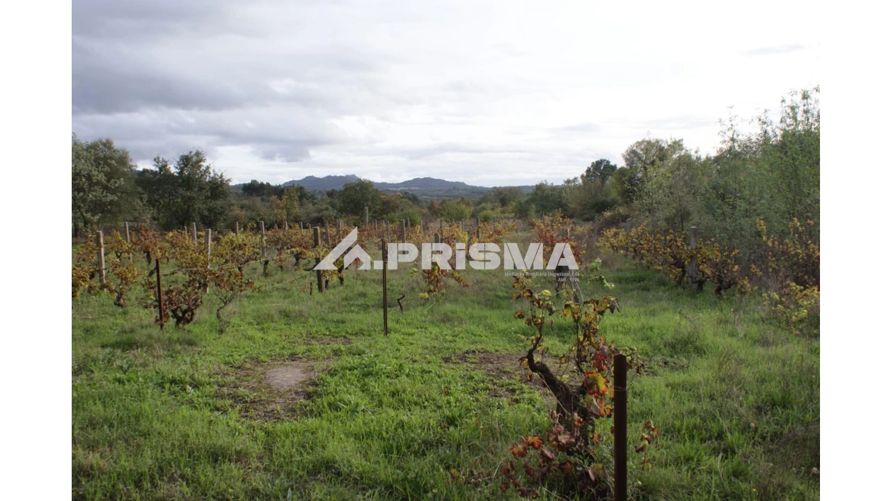 Terreno para Venda em Aranhas Foto 9