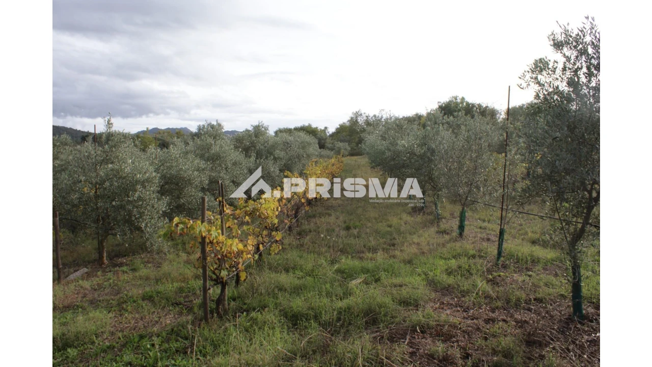Terreno para Venda em Aranhas Foto 3
