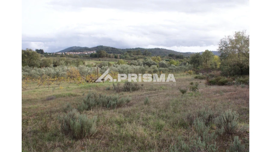 Terreno para Venda em Aranhas Foto 2