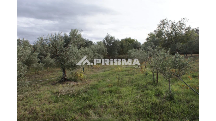 Terreno para Venda em Aranhas Foto 5