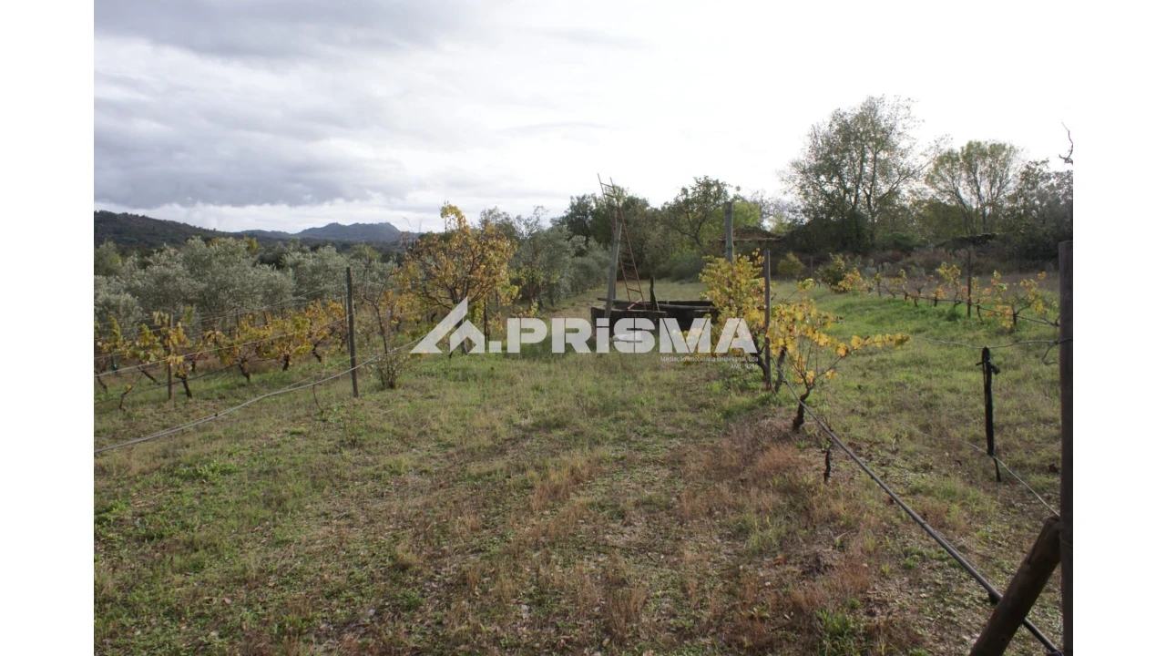 Terreno para Venda em Aranhas Foto 1