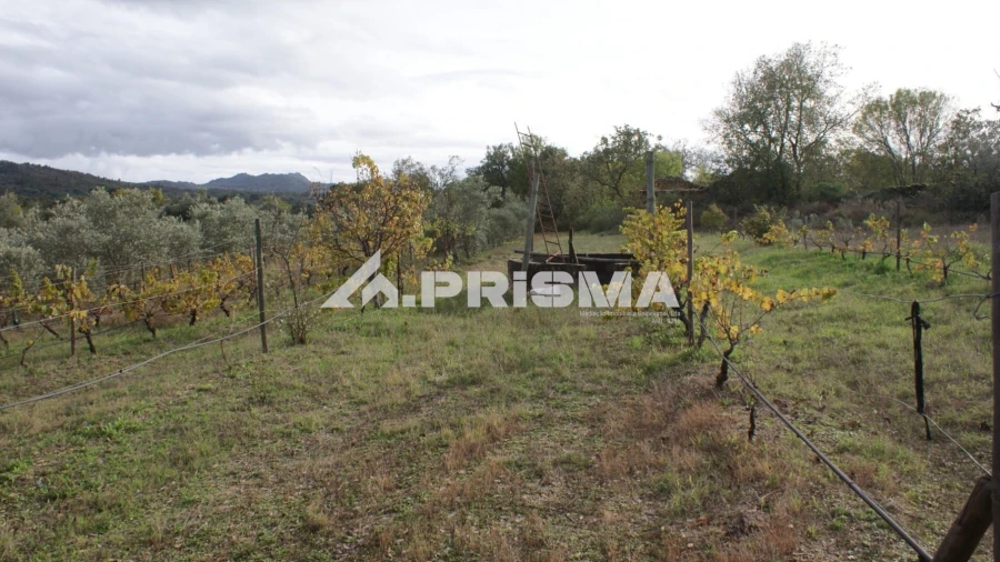 Terreno para Venda em Aranhas