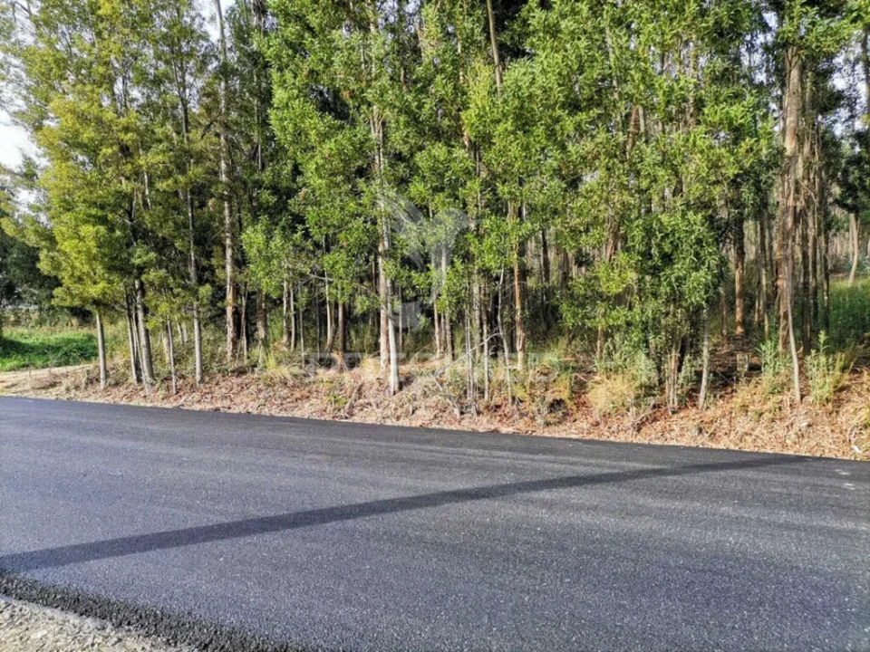 Terreno para Venda em Oliveirinha Foto 8