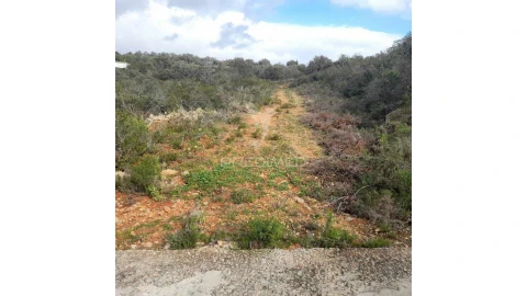 Terreno para Venda em Conceição e Estoi