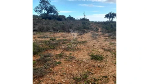 Terreno para Venda em Conceição e Estoi