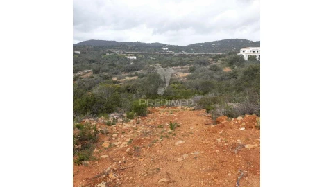 Terreno para Venda em Conceição e Estoi