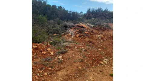 Terreno para Venda em Conceição e Estoi