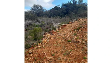 Terreno para Venda em Conceição e Estoi
