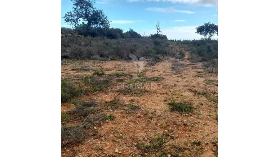 Terreno para Venda em Conceição e Estoi Foto 5