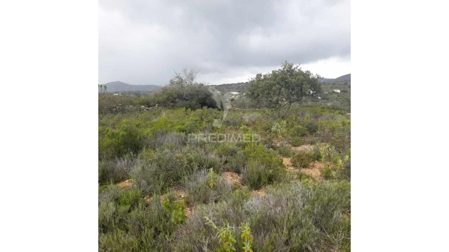 Terreno para Venda em Conceição e Estoi Foto 3