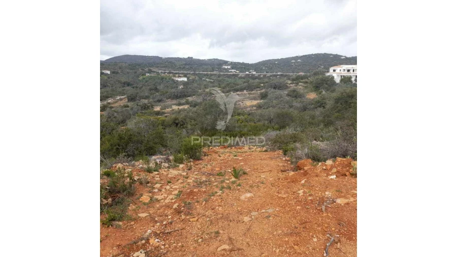 Terreno para Venda em Conceição e Estoi Foto 8
