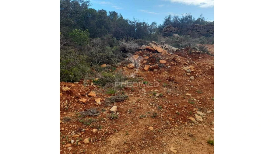 Terreno para Venda em Conceição e Estoi Foto 6