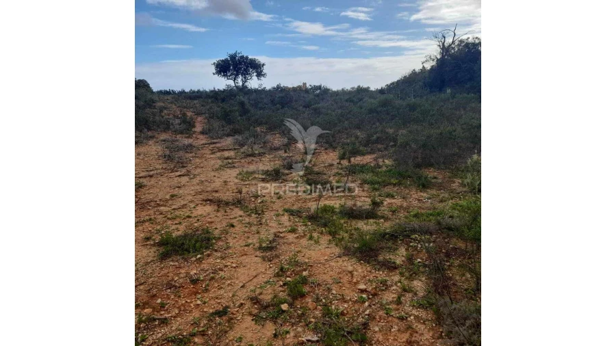 Terreno para Venda em Conceição e Estoi Foto 12