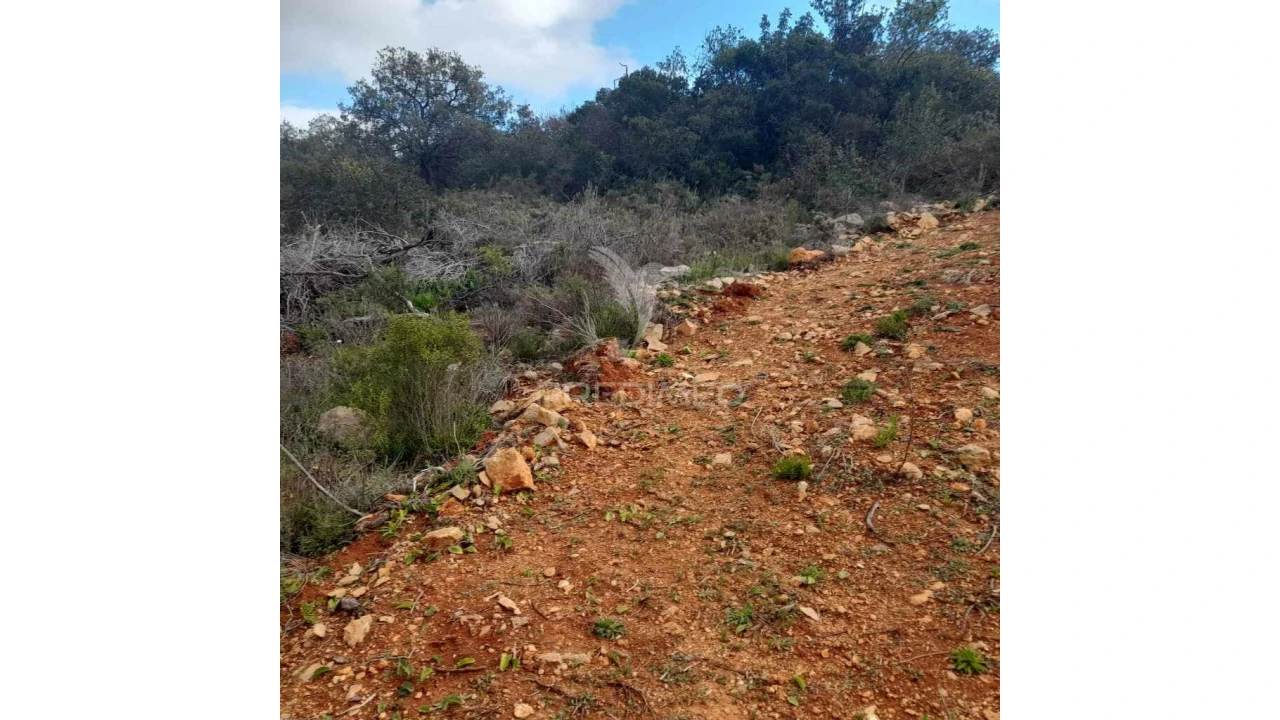 Terreno para Venda em Conceição e Estoi Foto 10