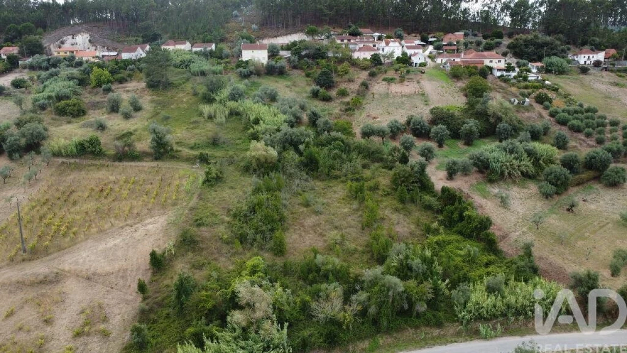 Terreno para Venda em Santiago e São Simão de Litém e Albergaria dos Doze Foto 26