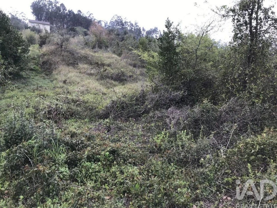 Terreno para Venda em Santiago e São Simão de Litém e Albergaria dos Doze Foto 16