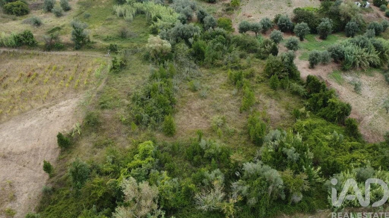 Terreno para Venda em Santiago e São Simão de Litém e Albergaria dos Doze Foto 24