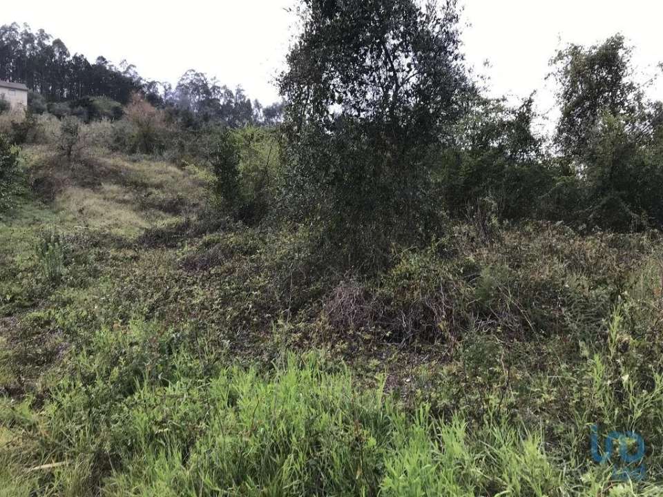 Terreno para Venda em Santiago e São Simão de Litém e Albergaria dos Doze Foto 13