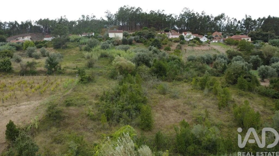 Terreno para Venda em Santiago e São Simão de Litém e Albergaria dos Doze Foto 25