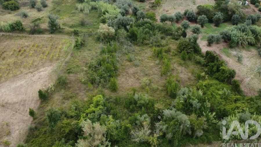 Terreno para Venda em Santiago e São Simão de Litém e Albergaria dos Doze Foto 24
