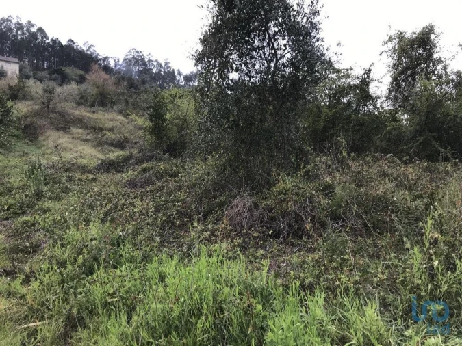 Terreno para Venda em Santiago e São Simão de Litém e Albergaria dos Doze Foto 13