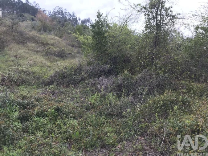 Terreno para Venda em Santiago e São Simão de Litém e Albergaria dos Doze Foto 20