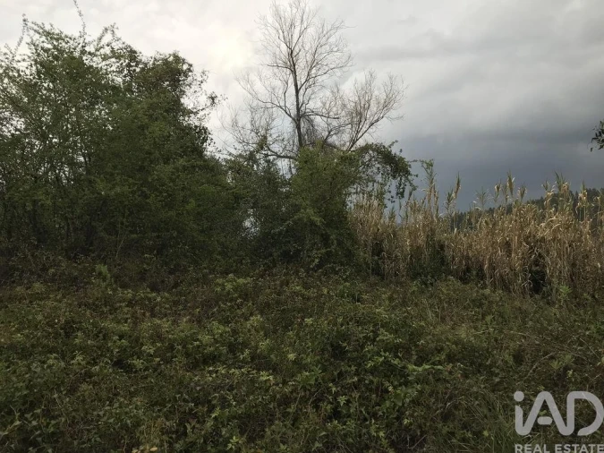 Terreno para Venda em Santiago e São Simão de Litém e Albergaria dos Doze Foto 18
