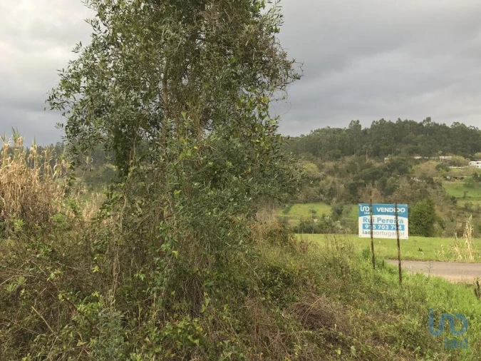 Terreno para Venda em Santiago e São Simão de Litém e Albergaria dos Doze Foto 4