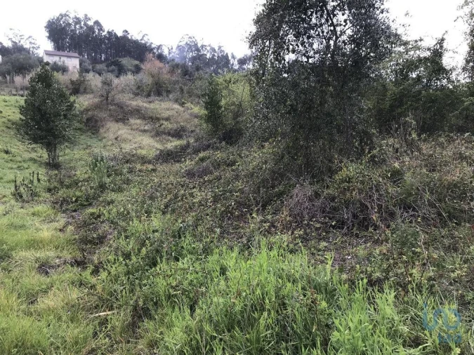 Terreno para Venda em Santiago e São Simão de Litém e Albergaria dos Doze Foto 10