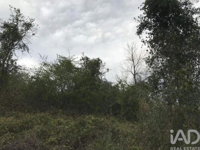 Terreno para Venda em Santiago e São Simão de Litém e Albergaria dos Doze Foto 22