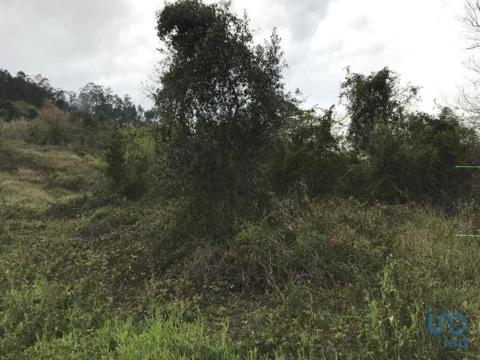 Terreno para Venda em Santiago e São Simão de Litém e Albergaria dos Doze Foto 11