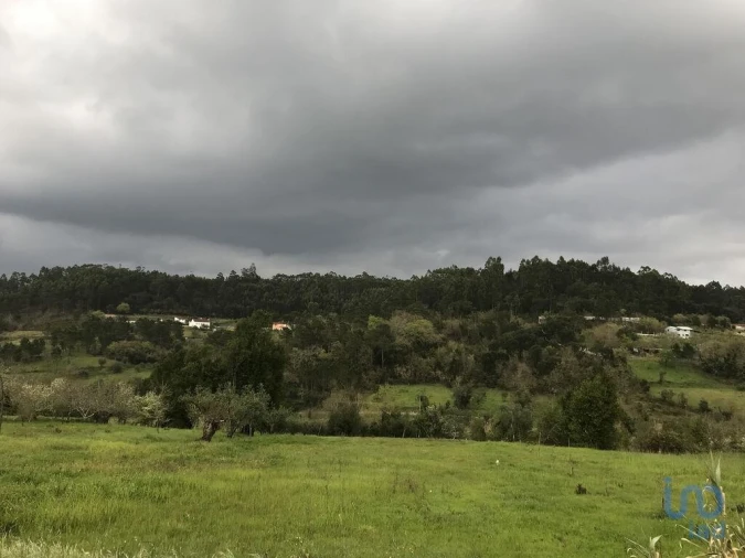 Terreno para Venda em Santiago e São Simão de Litém e Albergaria dos Doze Foto 9