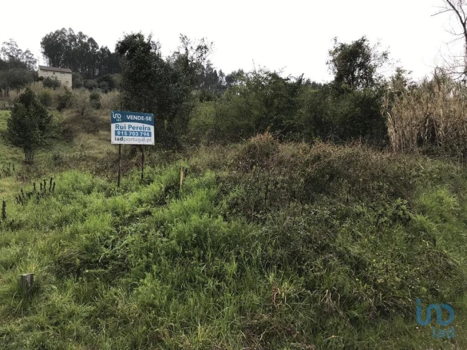 Terreno para Venda em Santiago e São Simão de Litém e Albergaria dos Doze Foto 7