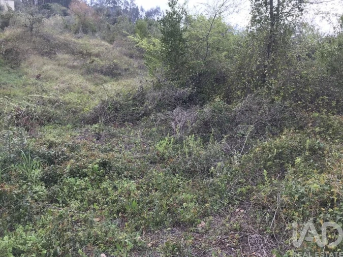 Terreno para Venda em Santiago e São Simão de Litém e Albergaria dos Doze Foto 17