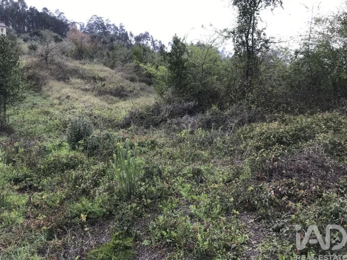 Terreno para Venda em Santiago e São Simão de Litém e Albergaria dos Doze Foto 21