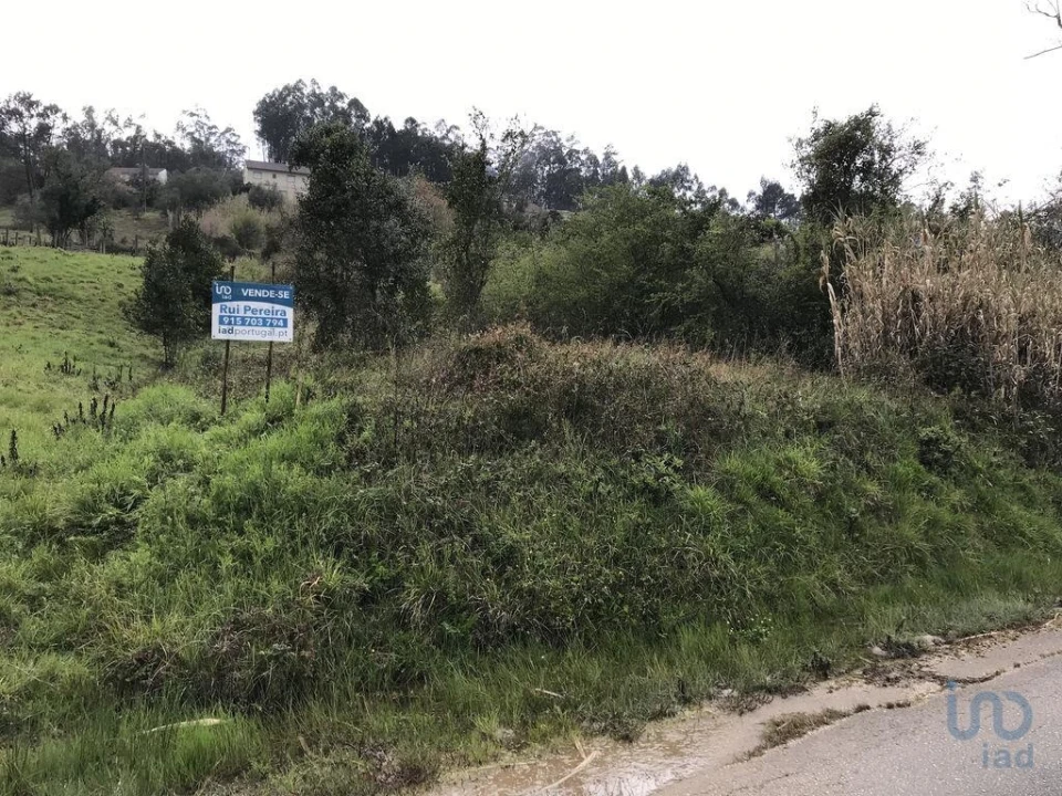 Terreno para Venda em Santiago e São Simão de Litém e Albergaria dos Doze Foto 6